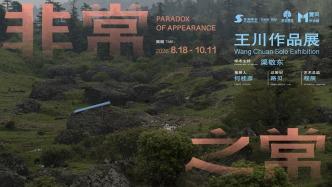 策展人语 | 日常·非常——王川摄影中的语言编码与观念表达